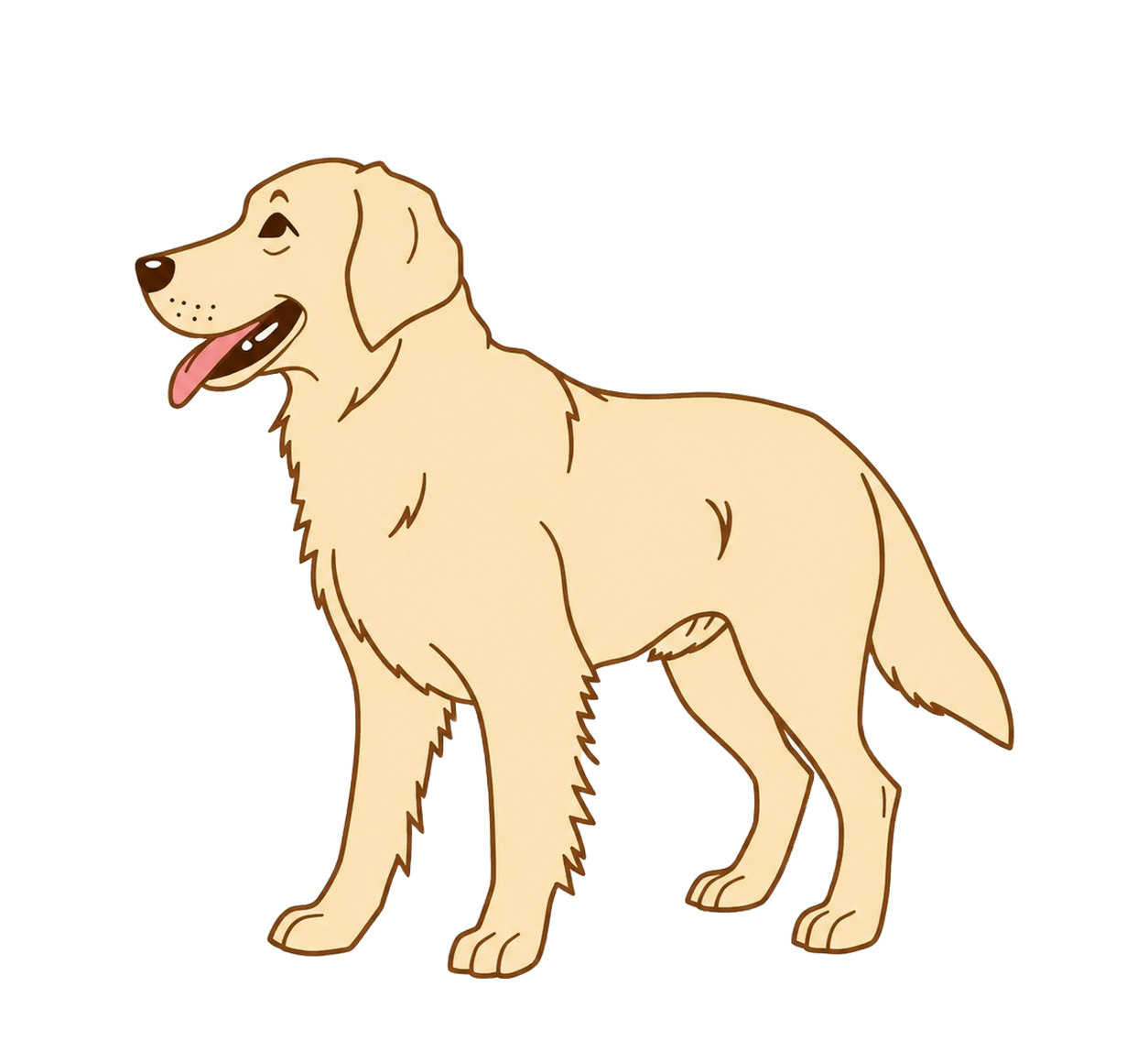 Ideal weight golden retriever